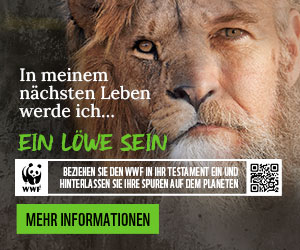 WWF Lion